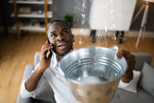 Best Professional water damage repair  in Wynnewood, OK