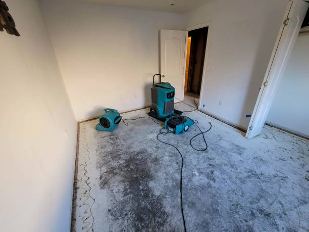 Best Basement water damage restoration  in Wynnewood, OK