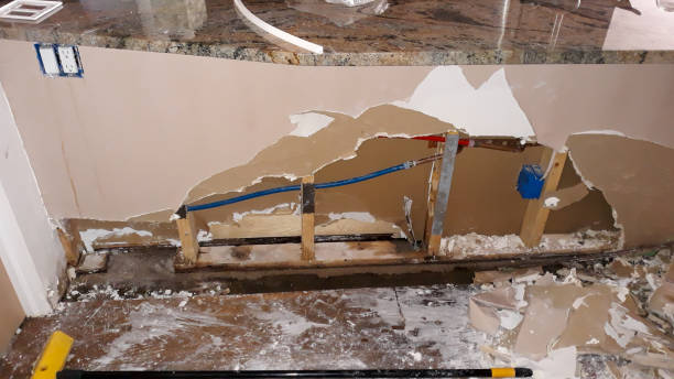Best Mold removal after water damage  in Wynnewood, OK