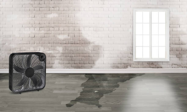 Best Ceiling water damage repair  in Wynnewood, OK